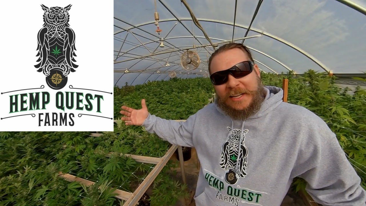 Hemp Quest Farms Harrisburg NC