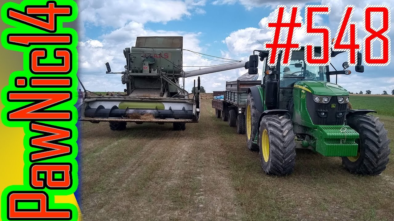 Coś tam zebraliśmy, młócenie, czyli trudny zbiór rumianku cz.4 - Życie zwyczajnego rolnika #548