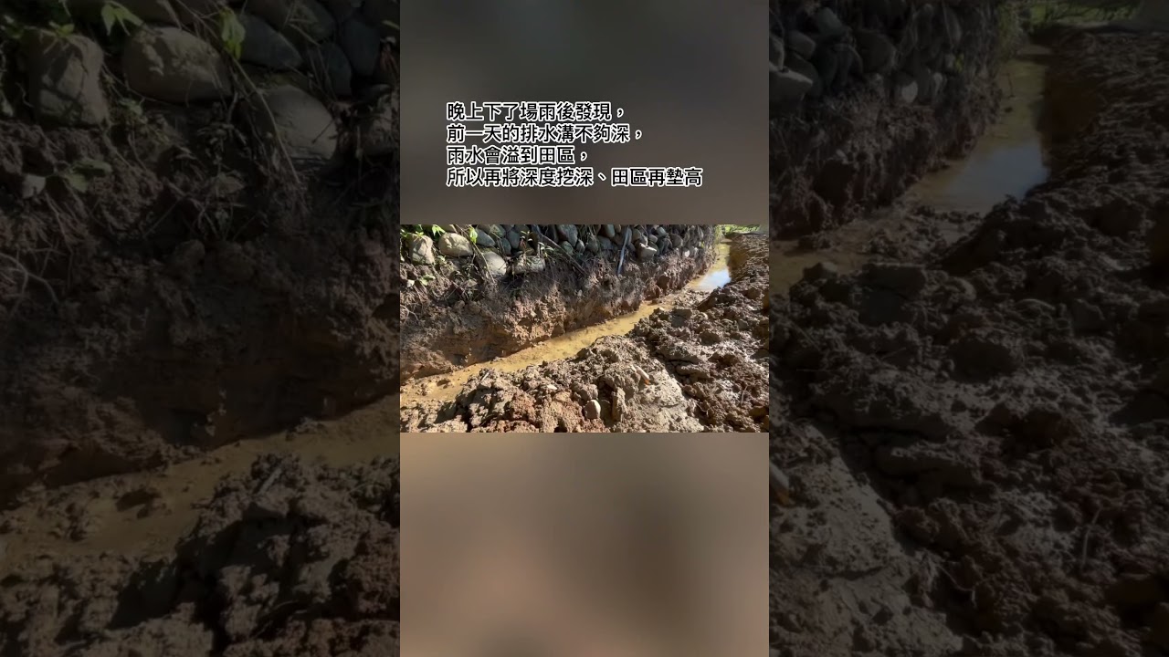 荒地開墾記錄 part3:安裝水塔、挖土機整地完成