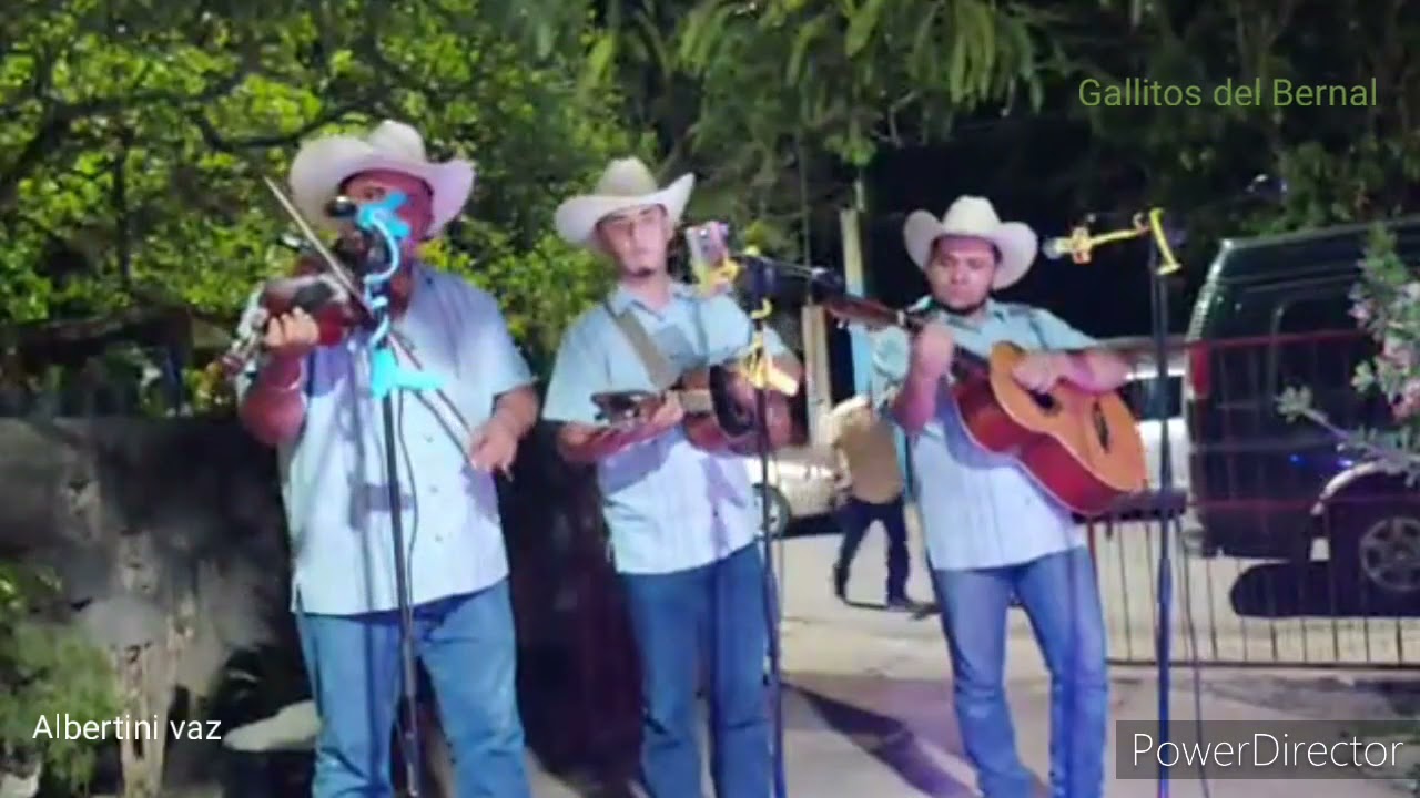 Gallitos del Bernal: cumbia romántica, Camionero