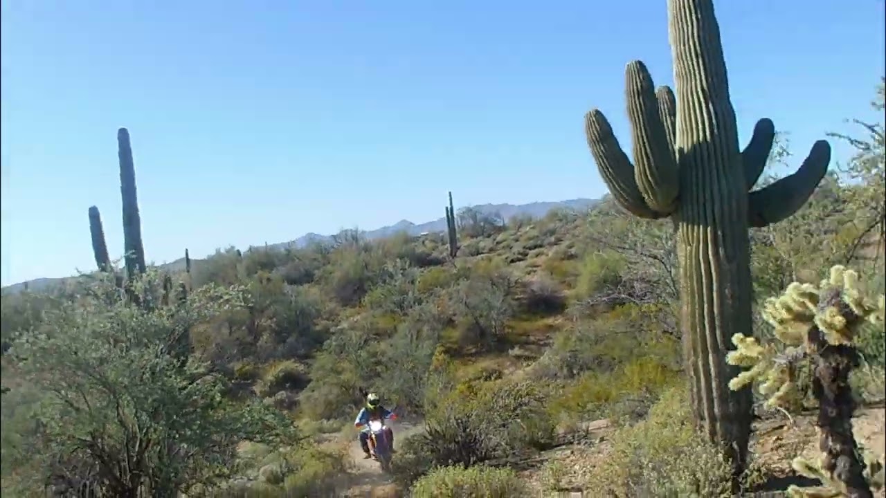 Needle Rock Moto - Eastern Euphoria.mp4