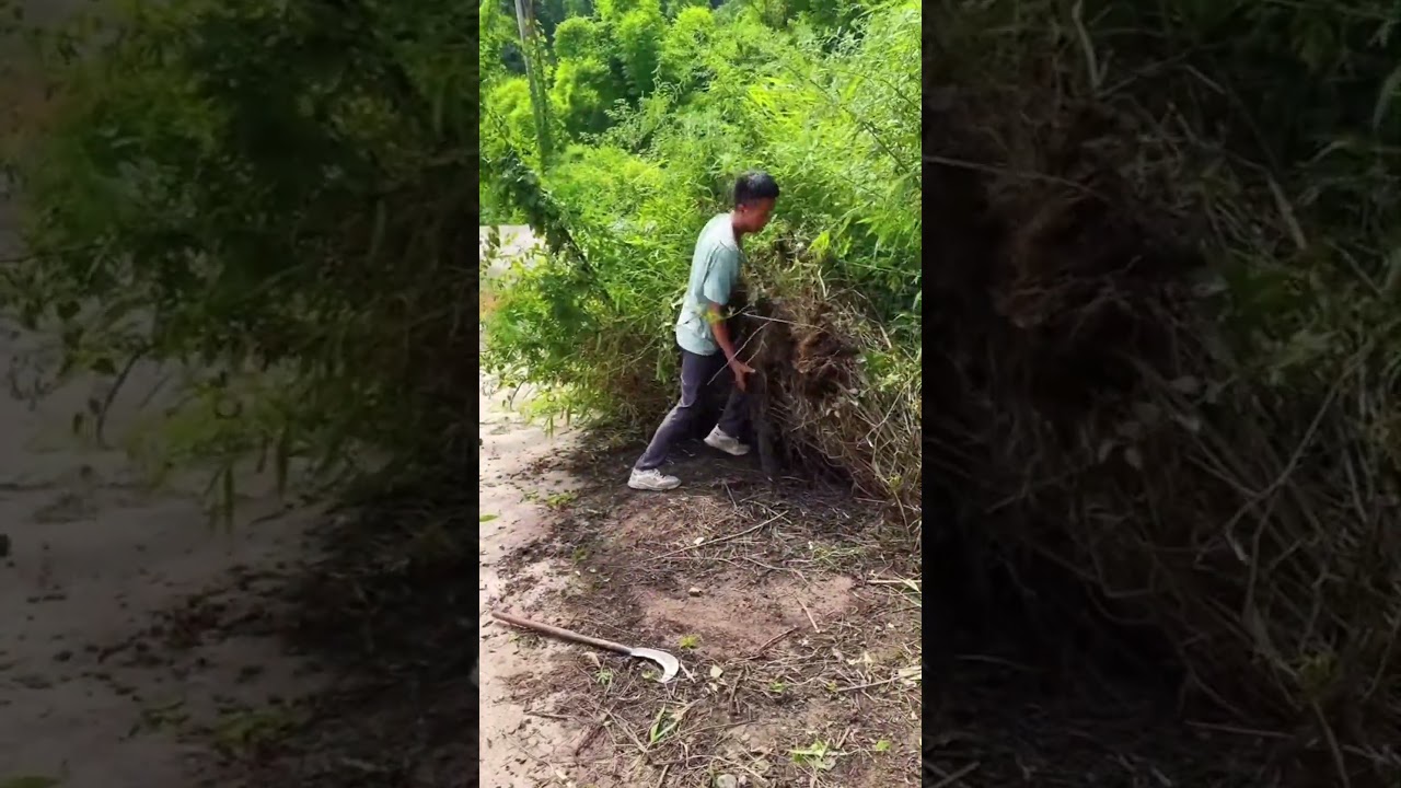 DIY Roadside Cleanup 