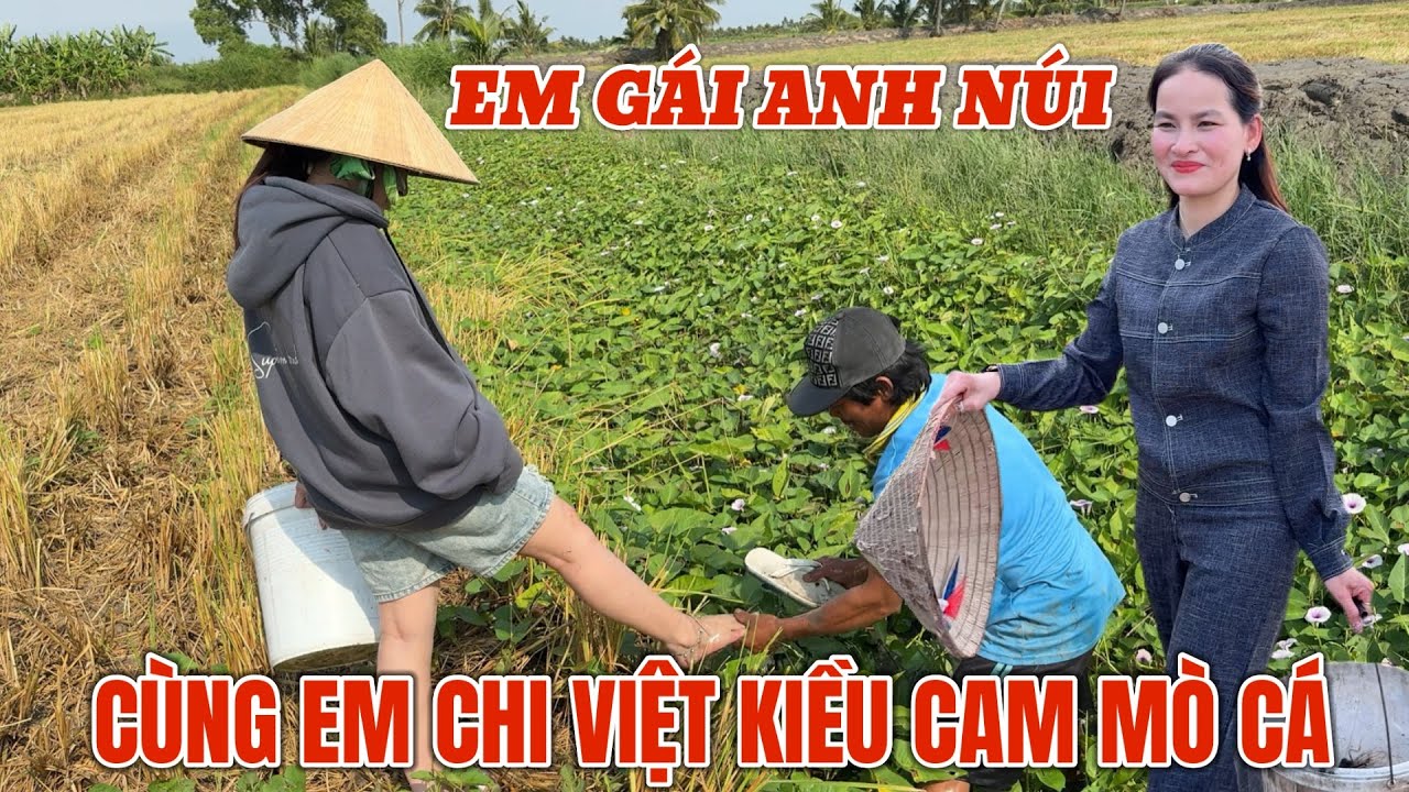 Em gái anh núi về đi mò cá cùng em chi việt kiều Cam trước ngày út mai qua TÀI TV