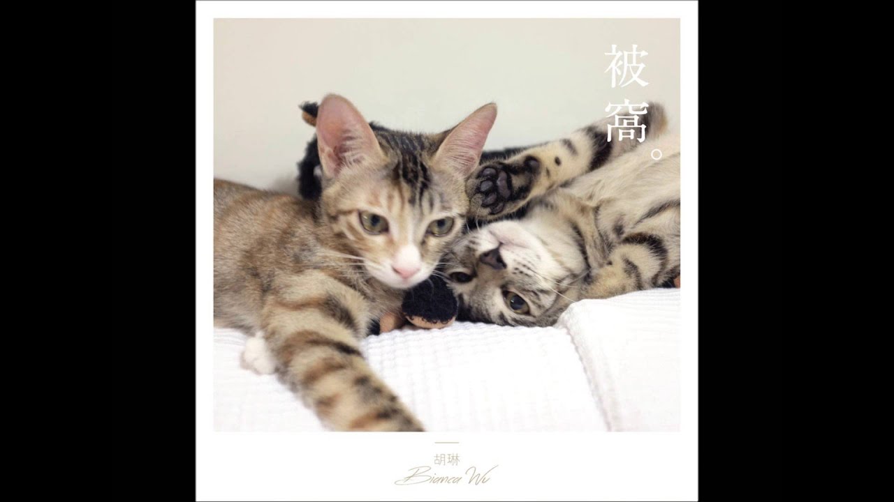 胡琳《被窩》