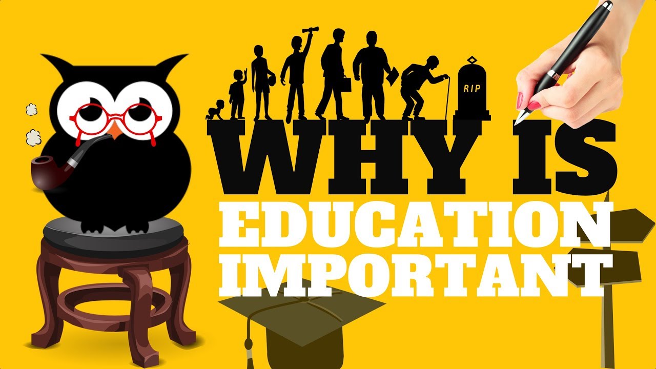 WHY IS EDUCATION IMPORTANT | ALL YOU NEED TO KNOW