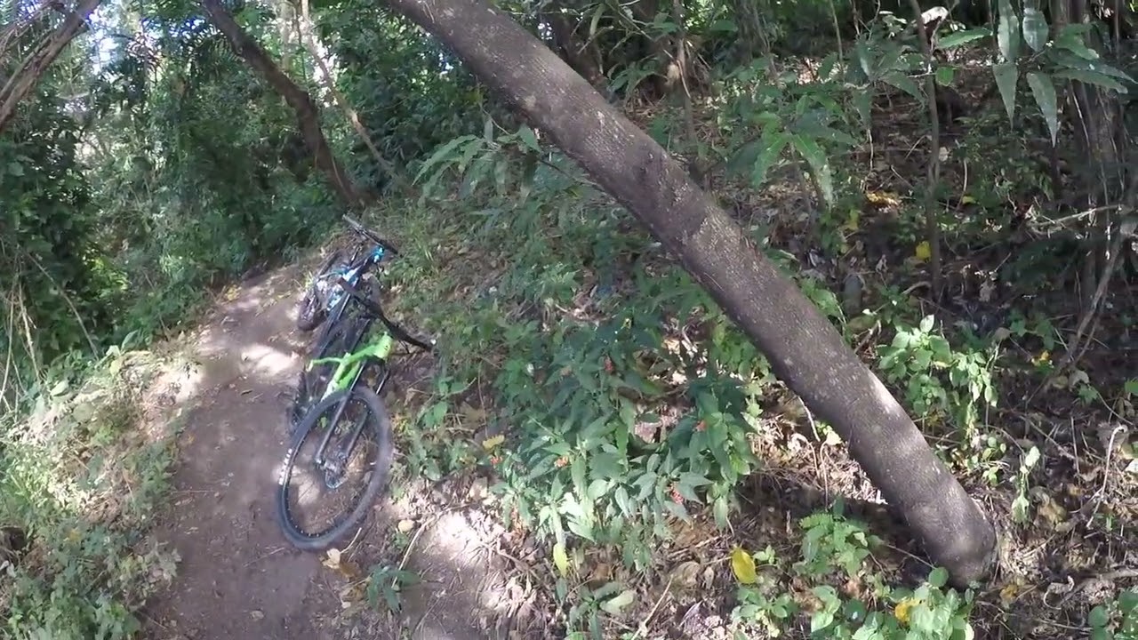 Filinvest MTB Trail / 22 Jan 2026 [Cobra]