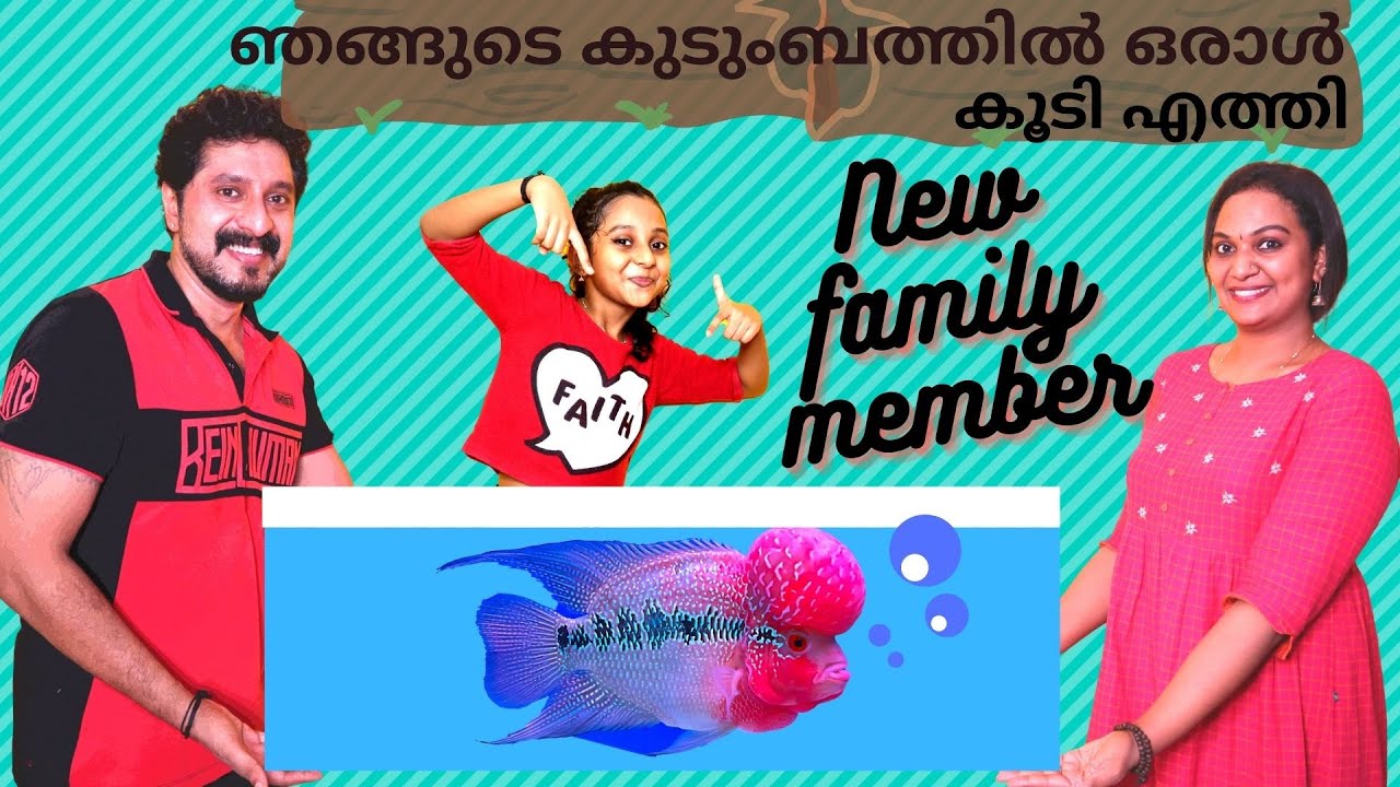 New Family Member / ഞങ്ങുടെ കുടുംബത്തിൽ ഒരാൾ കൂടി എത്തി /Flower Horn Fish