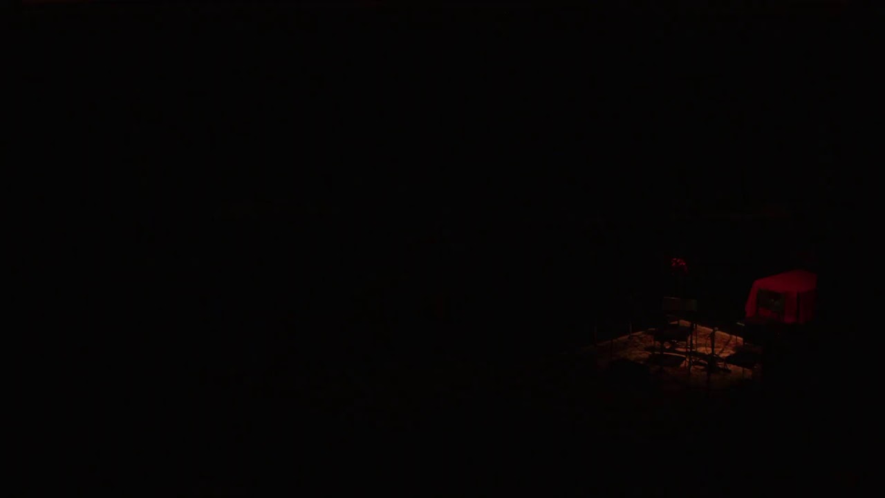 Wildish Theater Live Stream