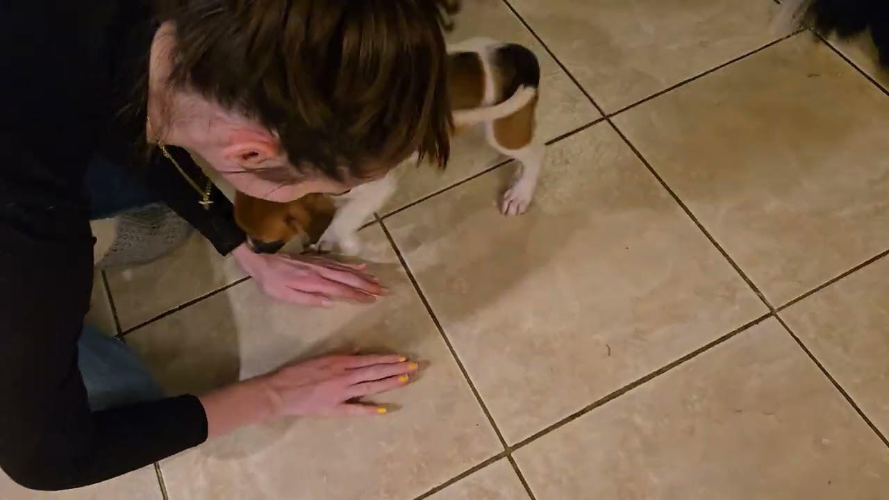 Hazel arrives at Home!