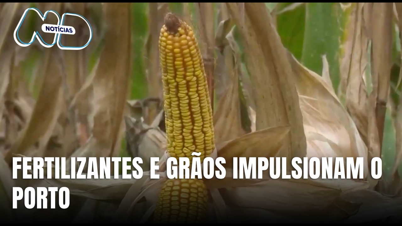 Porto de São Francisco do Sul registra crescimento em fertilizantes e grãos