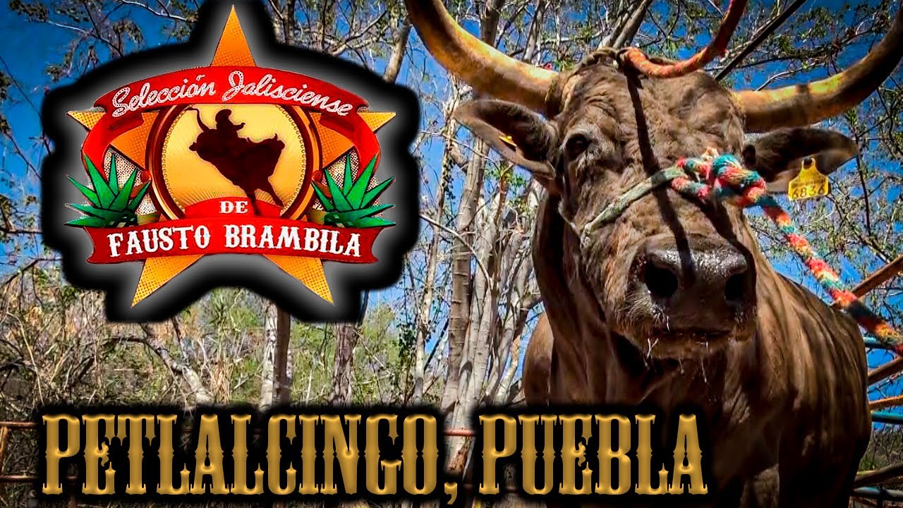 SON UNOS MOUSTROS ESTOS TOROS//SELECCIÓN JALISCIENSE FB PETLALCINGO PUEBLA 2024