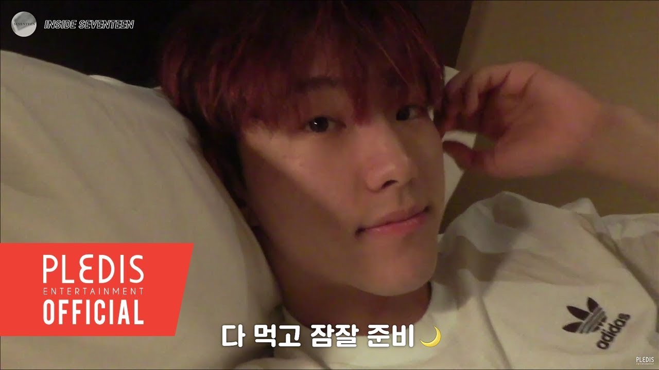 [INSIDE SEVENTEEN] 호랑이의 시선(Hoshi's Eyes)