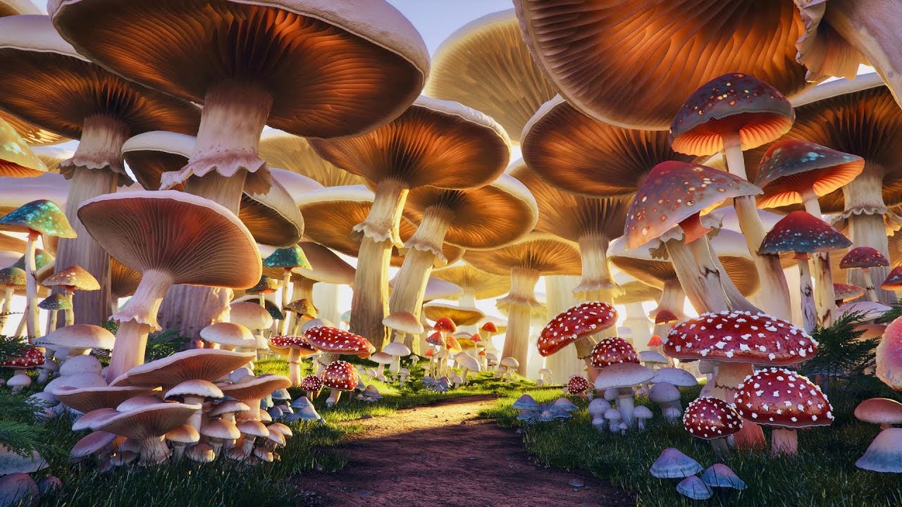 Mushroom Fantasy Village - Fantasy Music & Ambience 🧚‍♀️✨