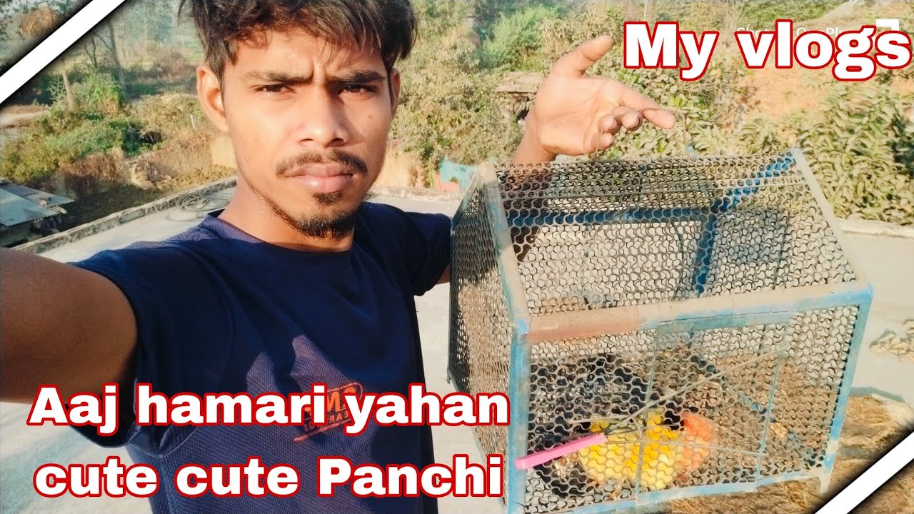Laxman lahre viral vlogs aaj hamari yahan cute cute Panchi 
