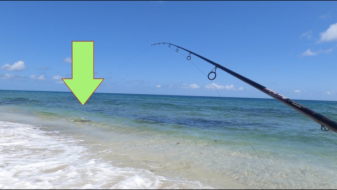 Beach Fishing Around Jupiter Florida