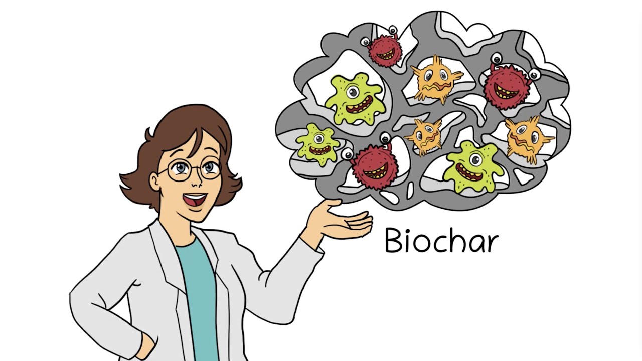 Improving Anaerobic Digestion with Biochar