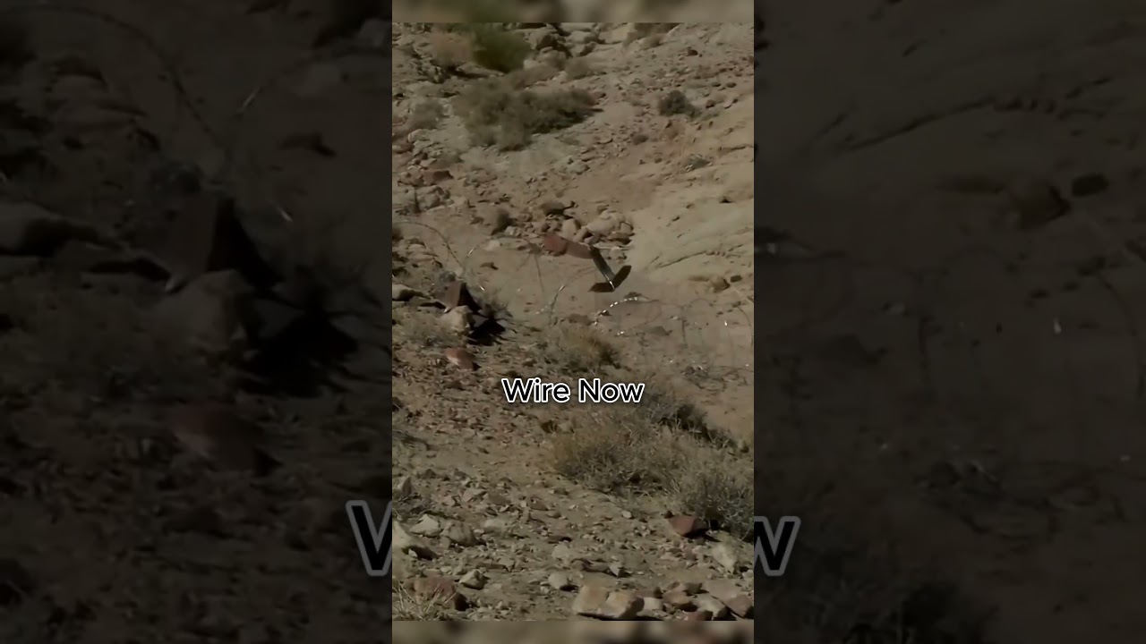 Old vs New Barbed Wire Techniques That Still Work