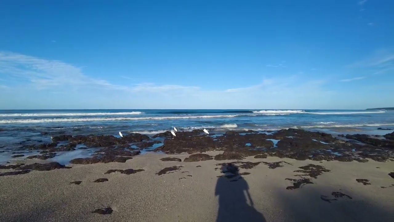 Guanacaste Puente Avellanas 4k ( estoy de paso x... Costa Rica )