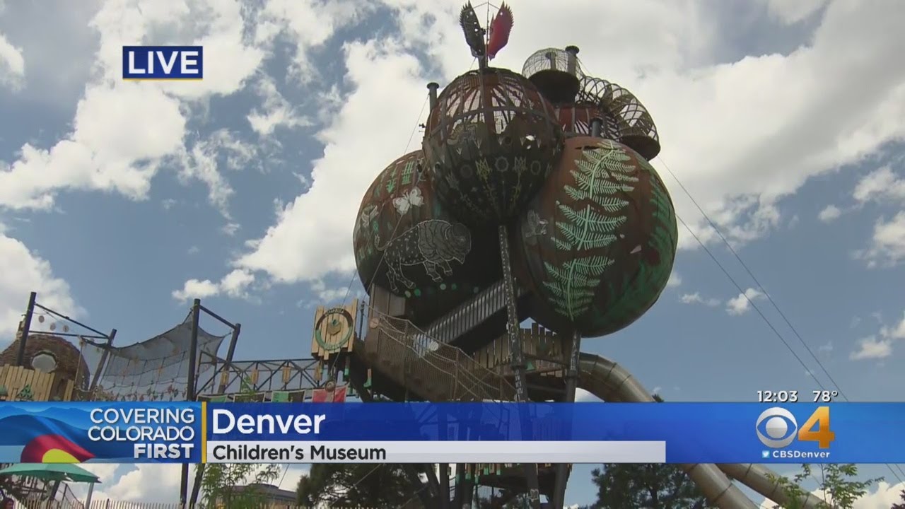 The New Adventure Forest At The Children's Museum Is Open