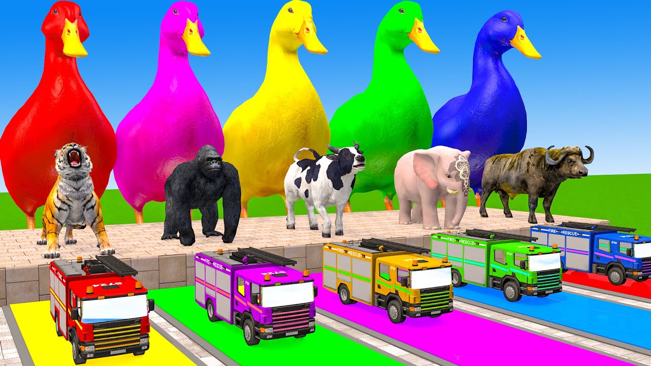 Long Slide Game With Cow Elephant Gorilla Hippopotamus Tiger 3d Animal Game Funny 3d Animals