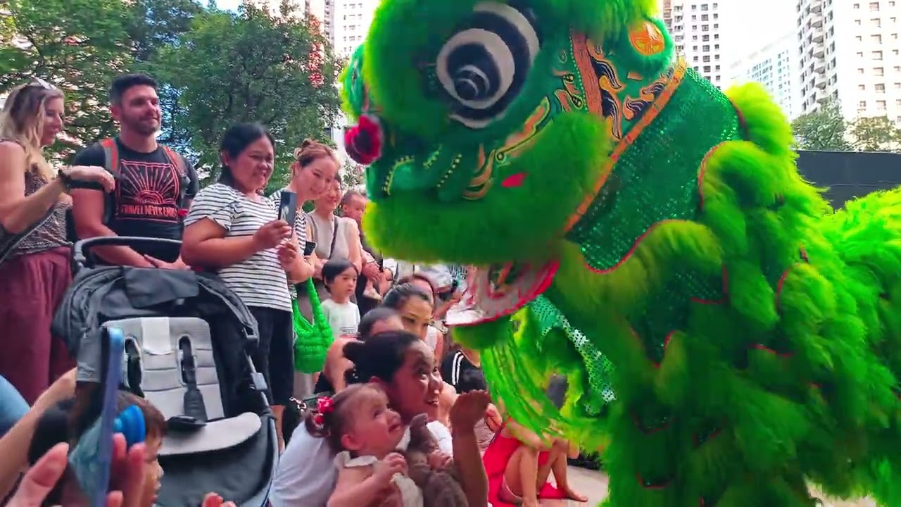 Lion Dance - Roar supreme. 