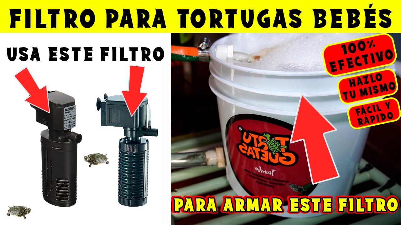 FILTRO CASERO PARA TORTUGAS BEBÉS, HAZLO TU MISMO FÁCIL Y RÁPIDO