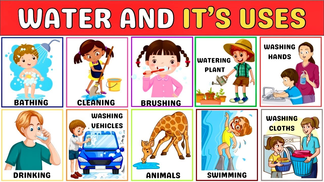 Uses of Water for Kids | Importance of Water | water and it's uses | Educational Video #usesofwater