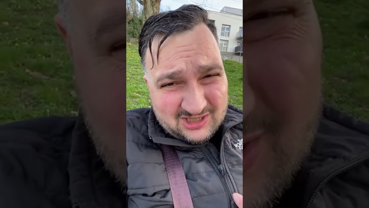 ქართული ენის მტრები
