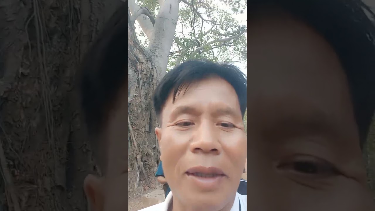 แห่ต้นเงินรอบศาลาโรงธรรมสปปลาว