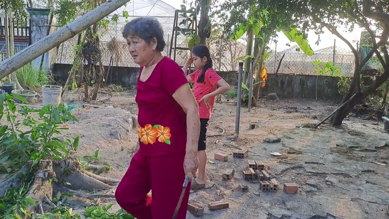 (34) Lụm gạch dạc,chặt lá sung