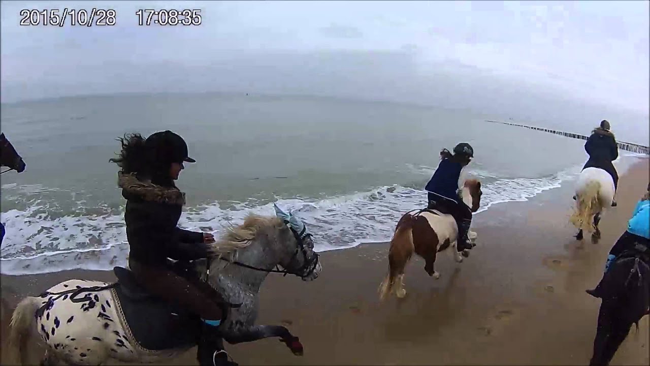 ponyhof strandrit 2015