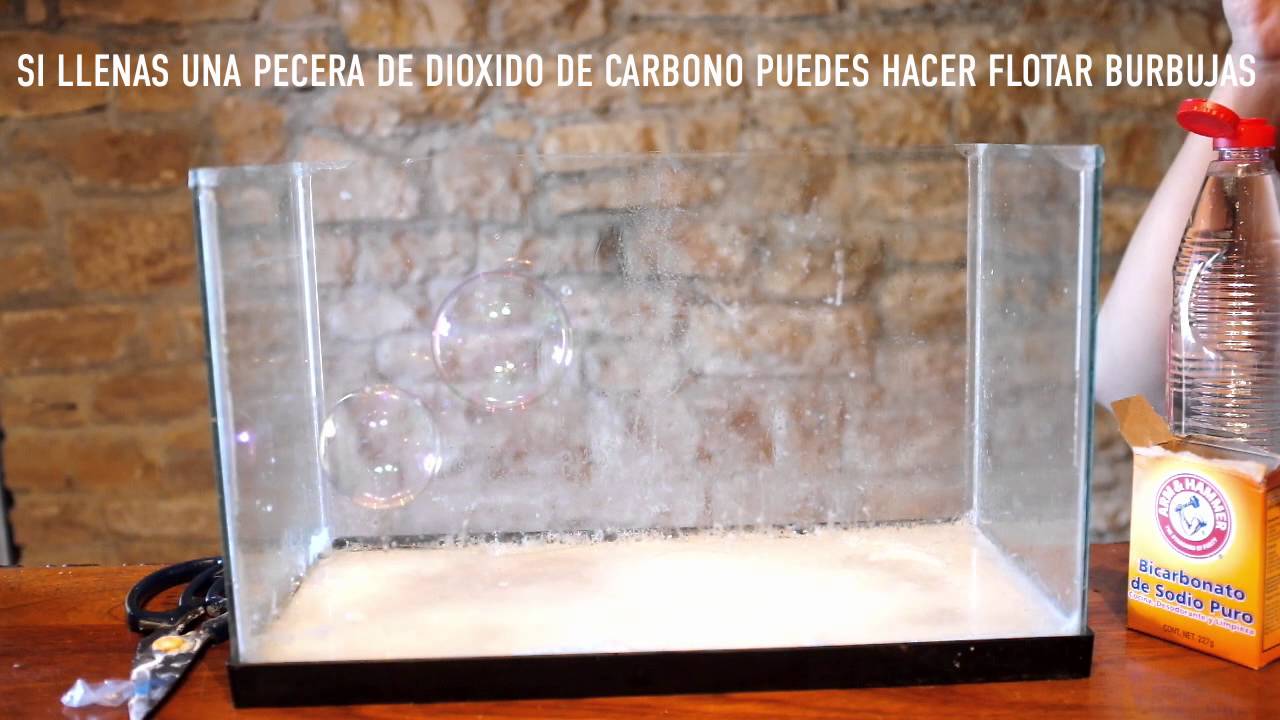 ICBIS- Burbujas Flotantes