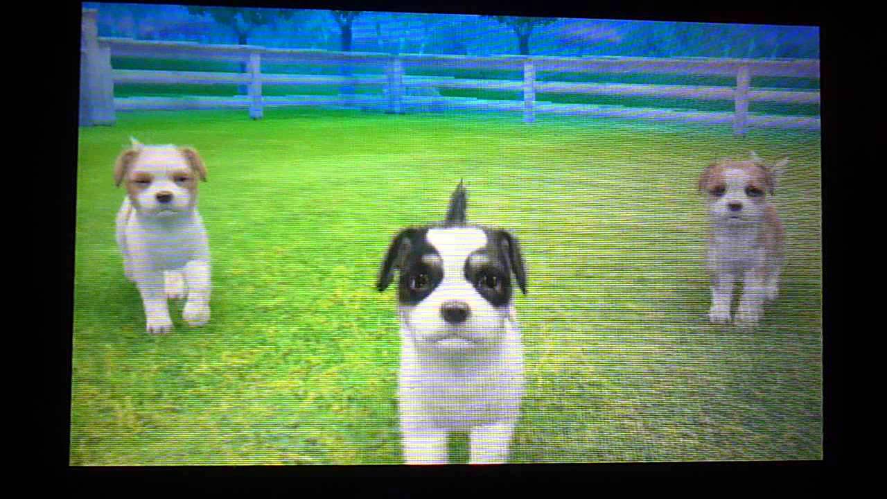 Nintendogs+cats: Le chenil P3. 2