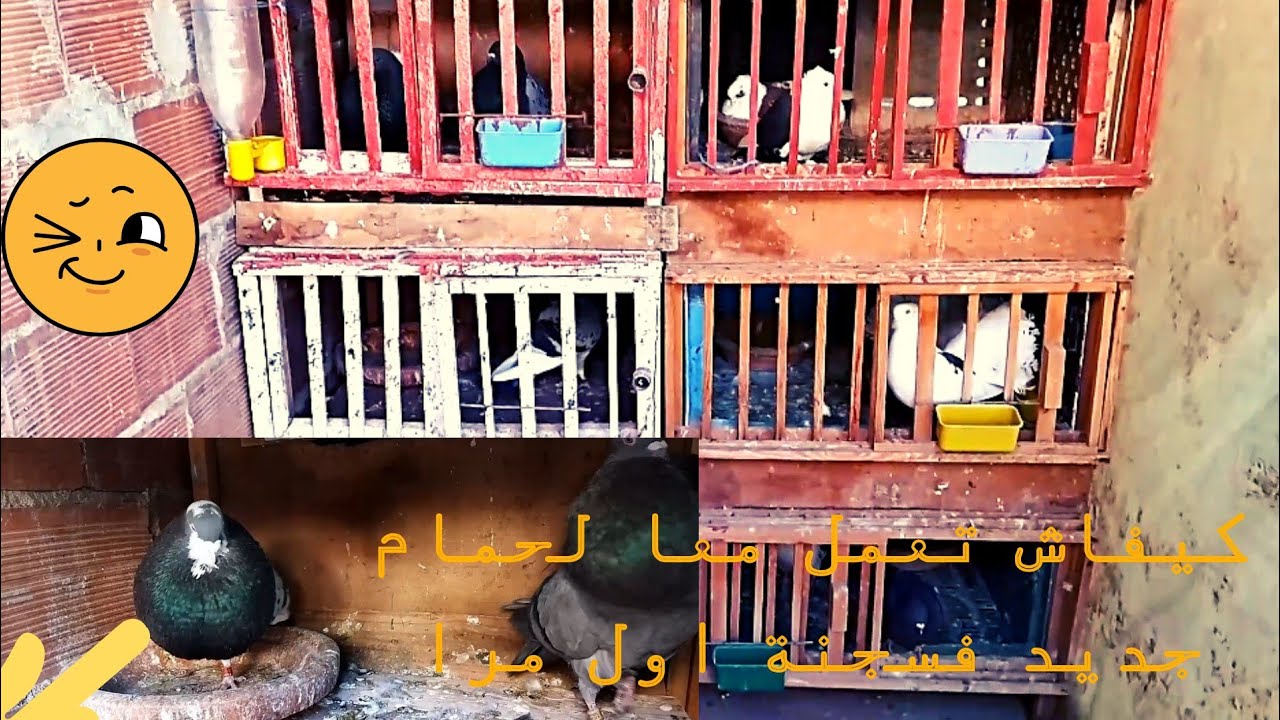 كيفاش تعمل معا لحمام جديد فسجنة اول مرا