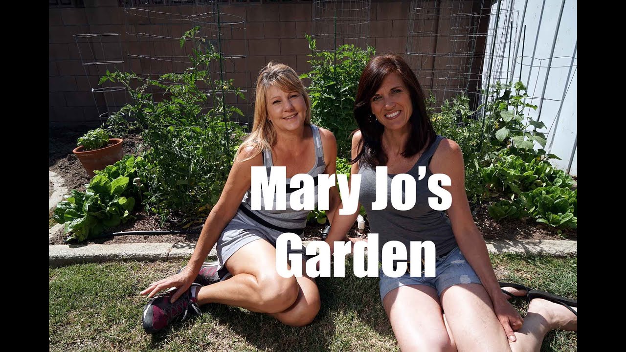 $10 Garden Series #11-  Mary Jo's Garden - You Won't Believe This - in 4K