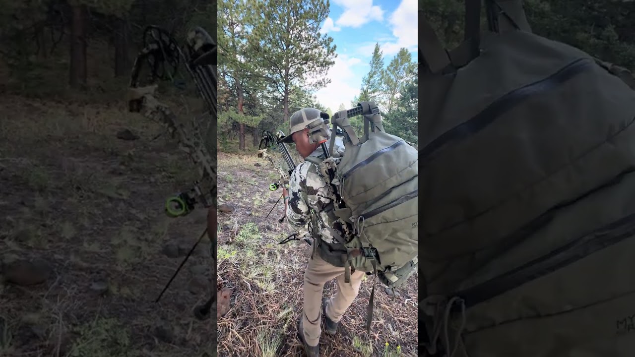 Blood tracking a 200 inch Muley
