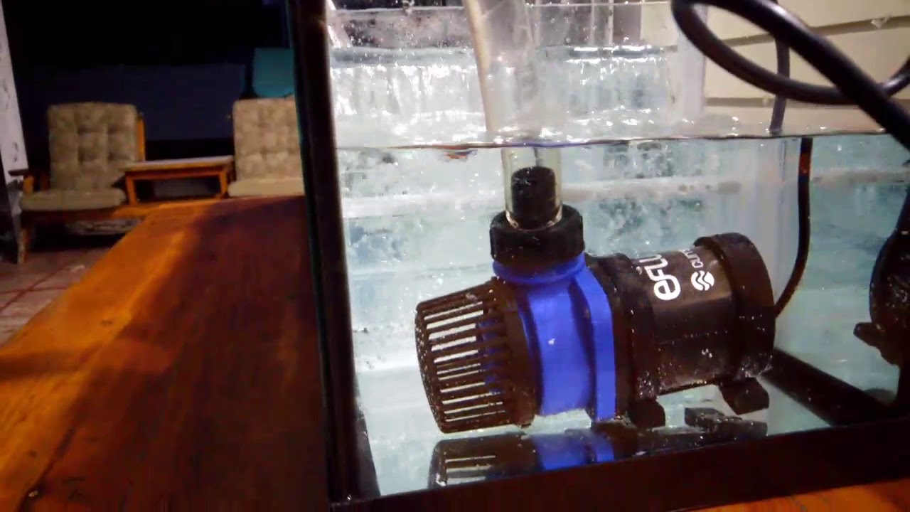 Sump wet test with Current Eflux DC Pump