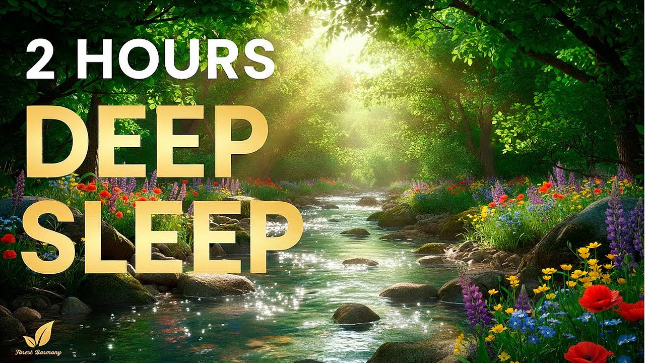 Deep Forest Meditation: 2 Hours of Healing Stream & Soft Celtic Flute 🌲