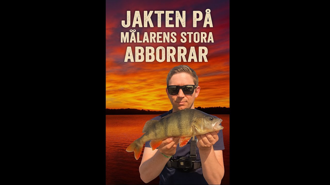 Fiske efter ABBORRE på MÄLAREN med Fiskekamraterna!