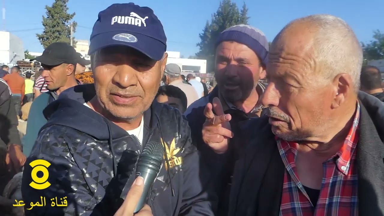 العلوش بلاش في إيطاليا ب100  أورو  ،نخدم في إيطاليا ونربي في العلوش في تونس ، فلوسي الكل نصرفها علفة