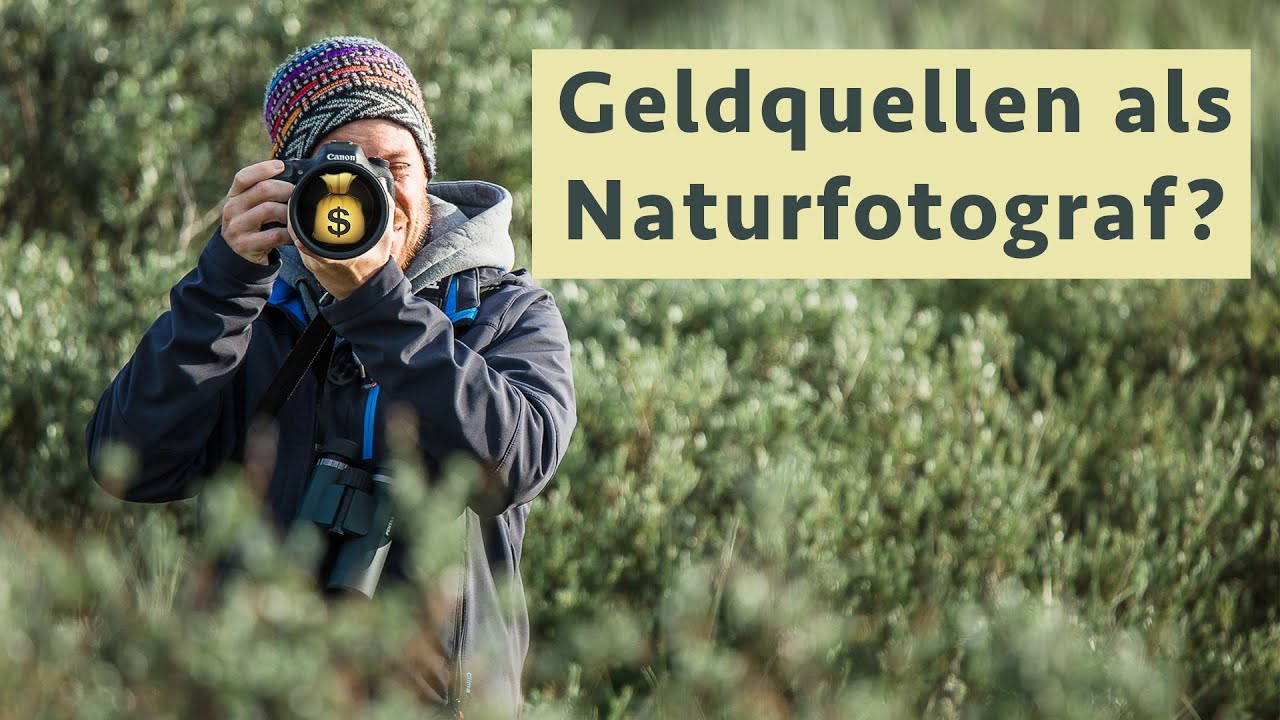 7 Möglichkeiten, als Naturfotograf nebenberuflich Geld zu verdienen