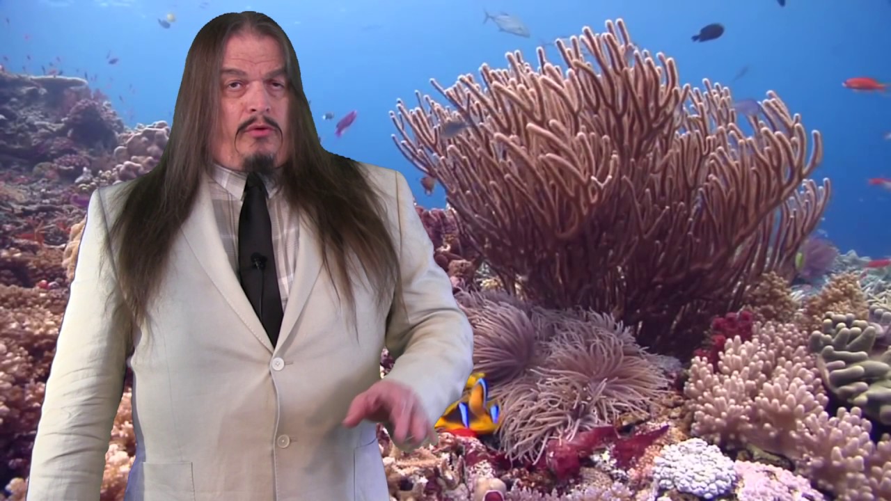 How Paleontology Disproves Noah's Flood