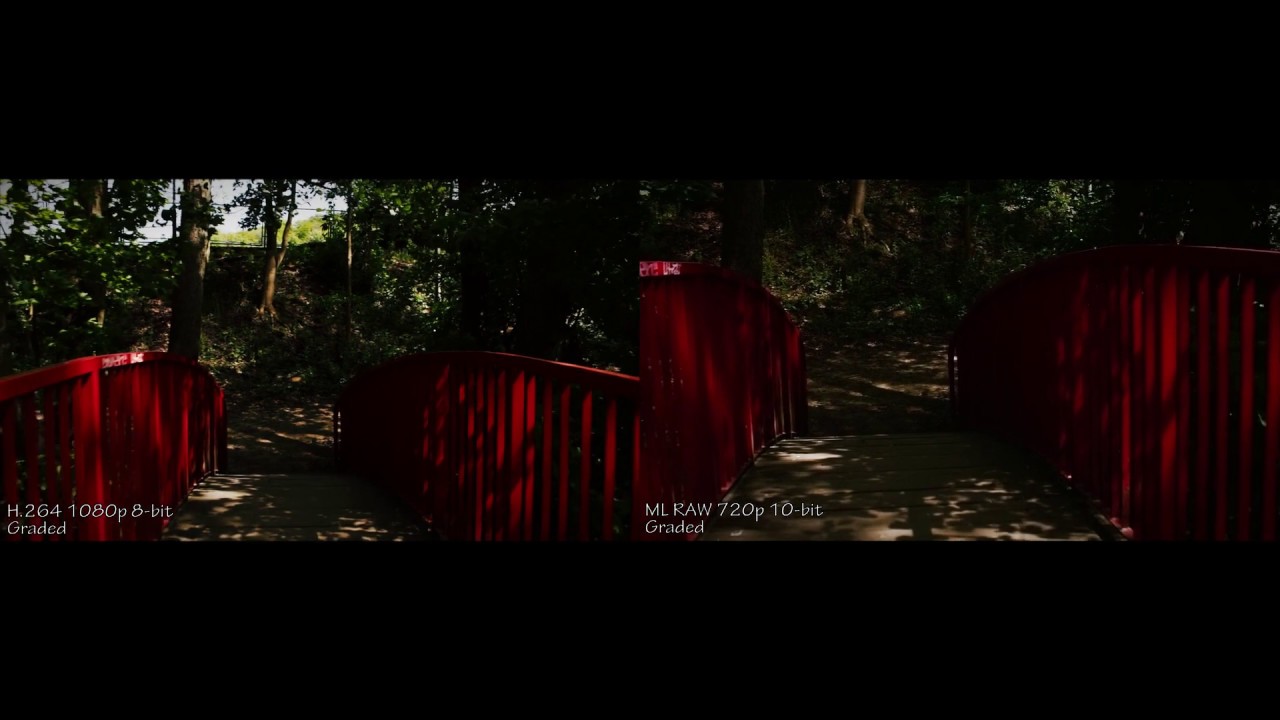 700D/T5i ML RAW 720p 10-bit vs H.264 1080p 8-bit Take2