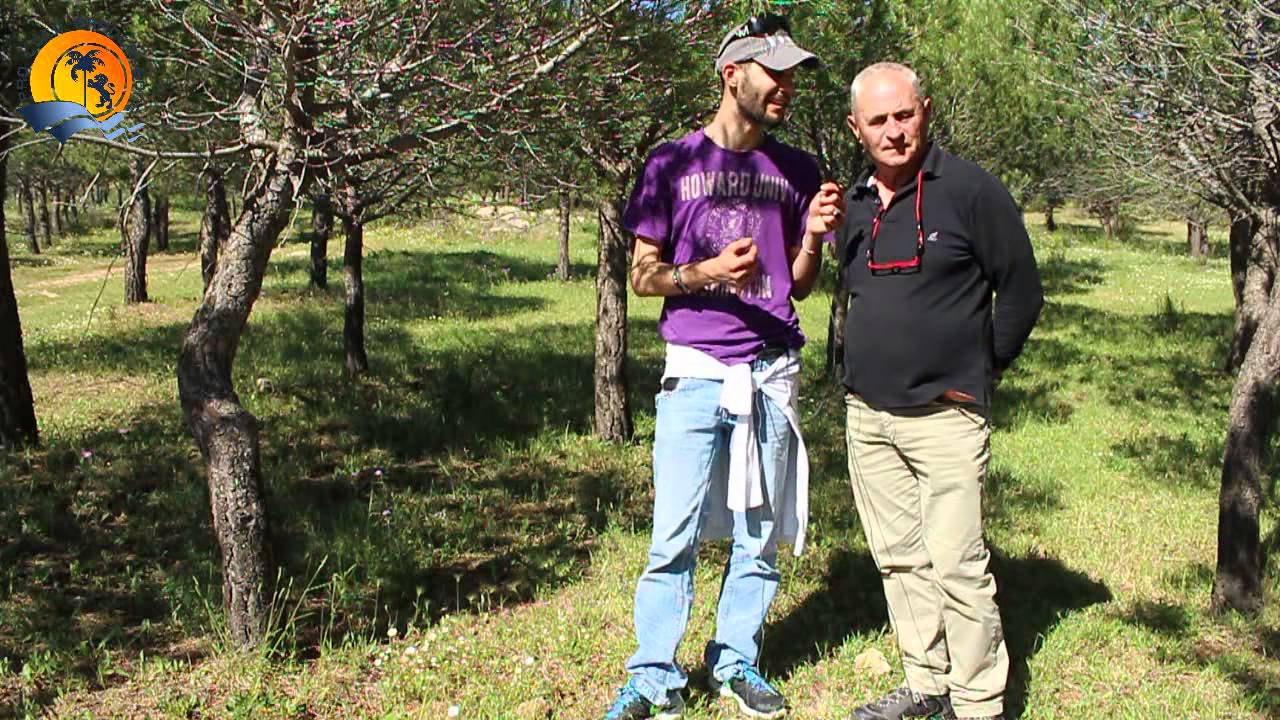 Località Gunì a Palizzi (RC) Sito di interesse Archeologico