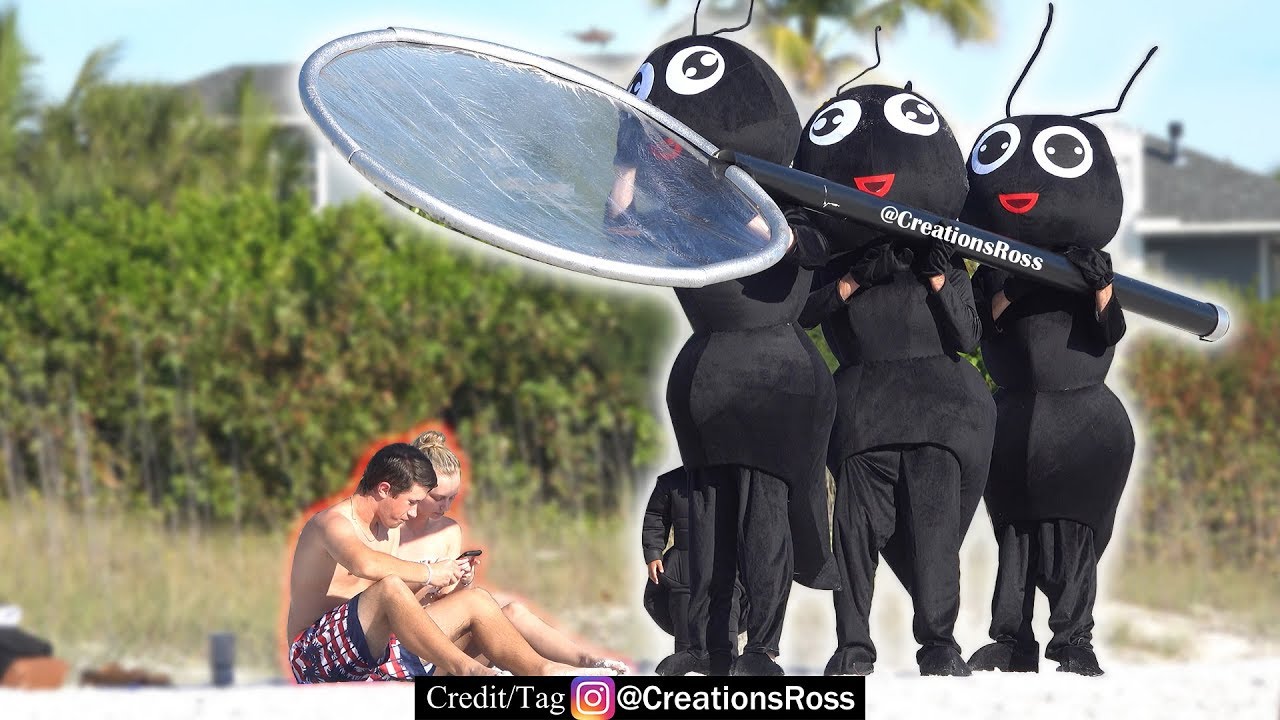 Ants Burn Human with Magnifying Glass