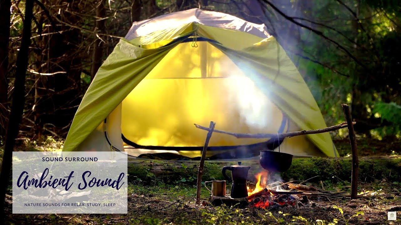 [ASMR/NatureSounds]  Camping in the Forest 🏕️🌲Relaxing Ambience ⋄ Nature 🔥 Campfire 🐦Bird Singing