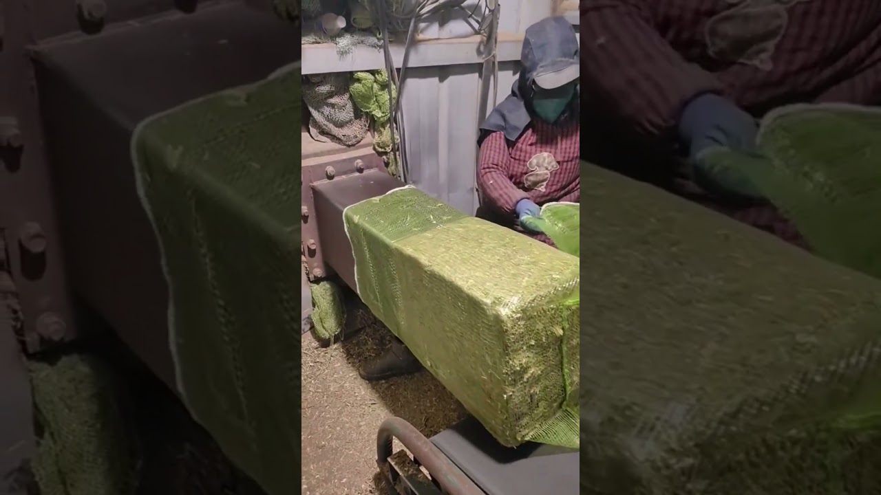 Dry grass packing process 