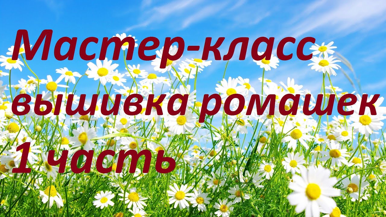 МК Вышивка ромашек 1 часть. Разживалова Наталья