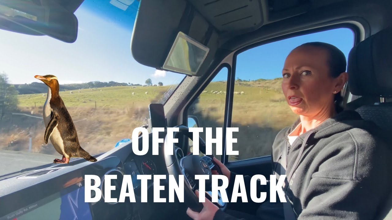 Грязные дороги и сюрприз с пингвином | Real Vanlife NZ