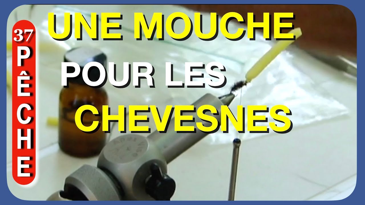 Une mouche et un popper pour le chevesne C.fr 37
